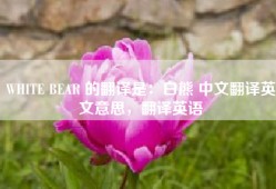 WHITE BEAR 的翻译是：白熊 中文翻译英文意思，翻译英语
