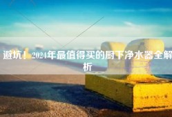 避坑！2024年最值得买的厨下净水器全解析