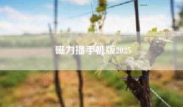 磁力播手机版2025