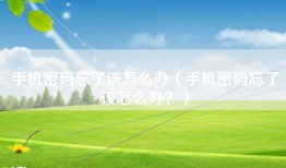 手机密码忘了该怎么办（手机密码忘了该怎么办？）