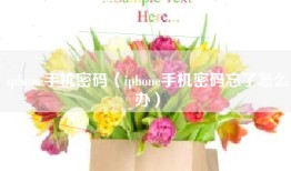 iphone手机密码（iphone手机密码忘了怎么办）