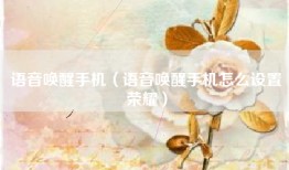 语音唤醒手机（语音唤醒手机怎么设置荣耀）