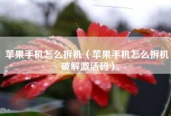 苹果手机怎么拆机（苹果手机怎么拆机破解激活码）