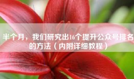 半个月，我们研究出16个提升公众号排名的方法（内附详细教程）