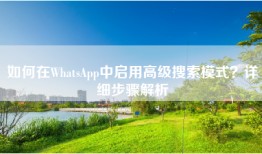 如何在WhatsApp中启用高级搜索模式？详细步骤解析
