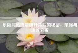 乐陵网站流量飙升背后的秘密，策略与成效分析