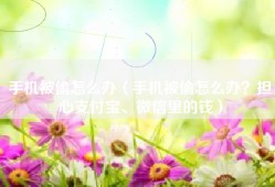 手机被偷怎么办（手机被偷怎么办？担心支付宝、微信里的钱）