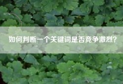 如何判断一个关键词是否竞争激烈？