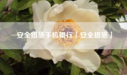 安全措施手机银行「安全措施」