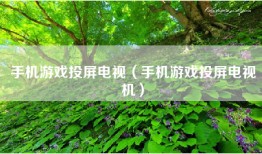 手机游戏投屏电视（手机游戏投屏电视机）