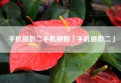 手机摄影二手机照相「手机摄影二」