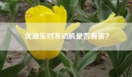 优油乐对发动机是否有害？