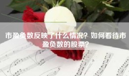 市盈负数反映了什么情况？如何看待市盈负数的股票？