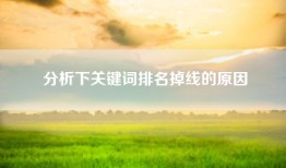 分析下关键词排名掉线的原因