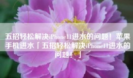 五招轻松解决iPhone11进水的问题！苹果手机进水「五招轻松解决iPhone11进水的问题！」