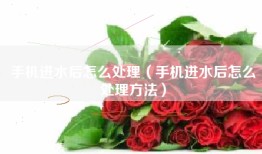 手机进水后怎么处理（手机进水后怎么处理方法）