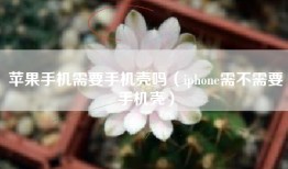 苹果手机需要手机壳吗（iphone需不需要手机壳）