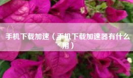 手机下载加速（手机下载加速器有什么用）