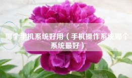 哪个手机系统好用（手机操作系统哪个系统最好）
