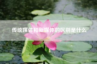 传统媒体和新媒体的区别是什么