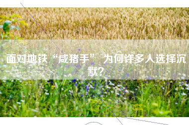 面对地铁“咸猪手” 为何许多人选择沉默？