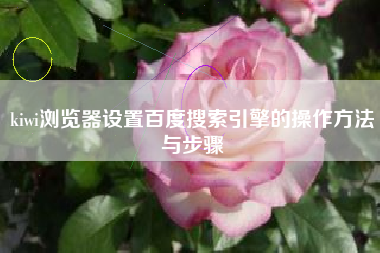 kiwi浏览器设置百度搜索引擎的操作方法与步骤