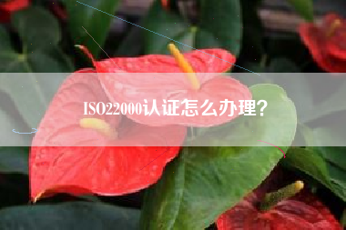 ISO22000认证怎么办理? ISO22000认证怎么办理?