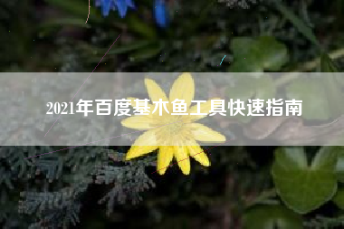 2021年百度基木鱼工具快速指南