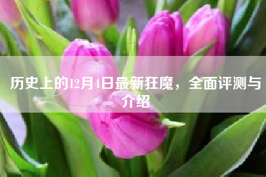 历史上的12月4日最新狂魔，全面评测与介绍