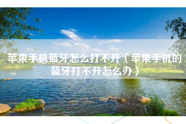 苹果手机蓝牙怎么打不开（苹果手机的蓝牙打不开怎么办）