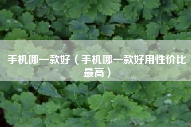 手机哪一款好（手机哪一款好用性价比最高）