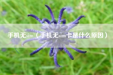手机无sim（手机无sim卡是什么原因）