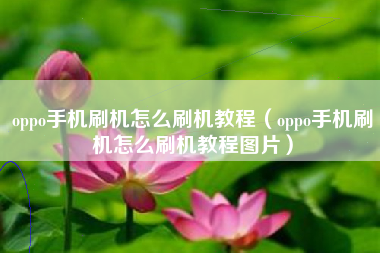 oppo手机刷机怎么刷机教程（oppo手机刷机怎么刷机教程图片）
