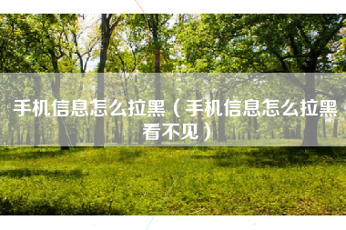 手机信息怎么拉黑（手机信息怎么拉黑看不见）
