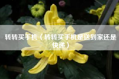 转转买手机（转转买手机是送到家还是快递）
