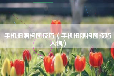 手机拍照构图技巧（手机拍照构图技巧人物）
