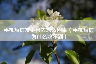 手机短信发不出去怎么回事（手机短信为什么收不到）
