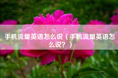 手机流量英语怎么说（手机流量英语怎么说？）