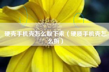 硬壳手机壳怎么取下来（硬质手机壳怎么拆）