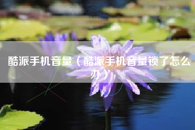 酷派手机音量（酷派手机音量锁了怎么办）