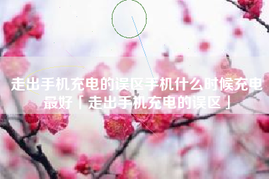 走出手机充电的误区手机什么时候充电最好「走出手机充电的误区」