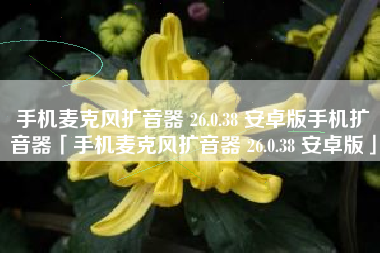 手机麦克风扩音器 26.0.38 安卓版手机扩音器「手机麦克风扩音器 26.0.38 安卓版」