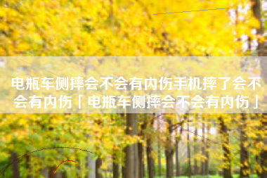 电瓶车侧摔会不会有内伤手机摔了会不会有内伤「电瓶车侧摔会不会有内伤」